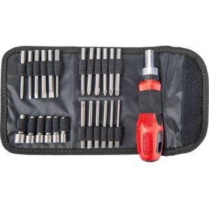 EXTOL PREMIUM 8819155 šroubovák ráčnový s bity sada 25ks v pouzdře