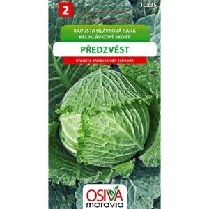 Semínka Kapusta hlávková raná Předzvěst (Brassica oleracea var. sabauda)