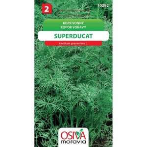 Semínka Kopr vonný Superducat (Anethum graveolens L.)