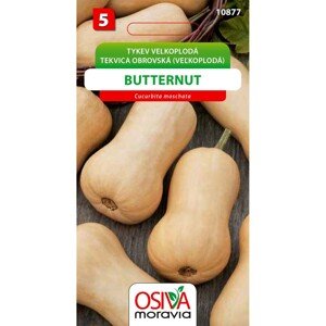 Semínka Tykev velkoplodá Butternut (Cucurbita moschata)