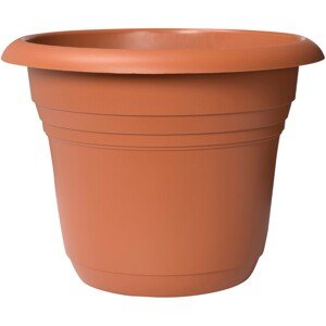 Ebertsankey Květináč Fiore Alessia terakotový pr. 20 cm
