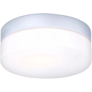 GLOBO Stropní koupelnové osvětlení Vranos 1x 60 W E27 opál