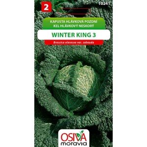 Semínka Kapusta hlávková pozdní Winter King 3 (Brassica oleracea var. sabauda)