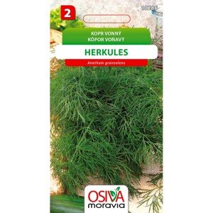 Osiva Moravia Kopr vonný Herkules