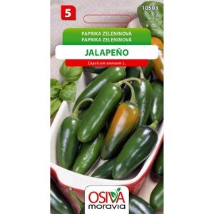 Paprika Zeleninová - pálivá - Jalapeňo (Capsicum annuum L.)