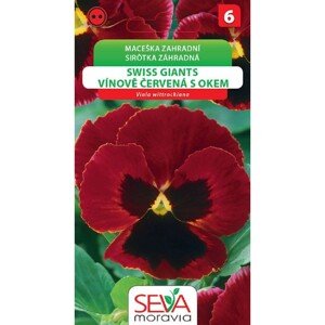 Semínka Maceška zahradní Swiss Giants vínově červená s okem (Viola wittrockiana)