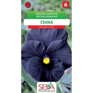 Semínka Maceška zahradní černá (Viola wittrockiana)
