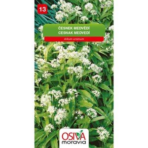 Semienka Česnek medvědí