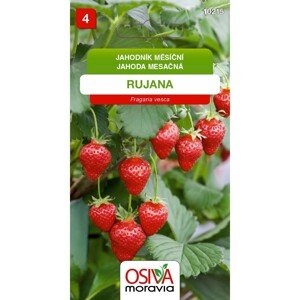 Semínka Jahodník měsíční Rujana (Fragaria vesca)