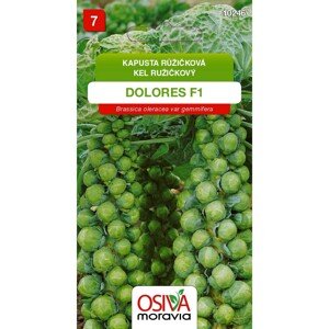 Semienka Kapusta růžičková Dolores F1