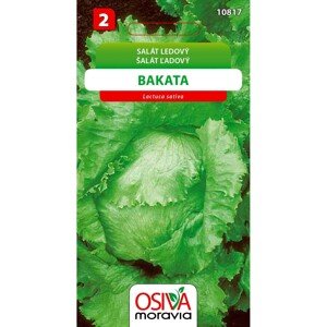 Salát Hlávkový ledový - Bakata (Lactuca sativa)
