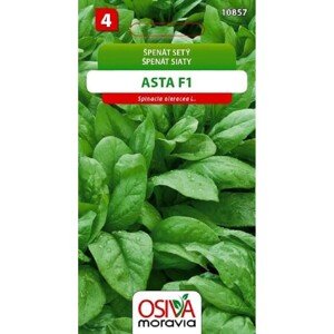 Špenát Setý - Asta F1 (Spinacea oleracea L.)