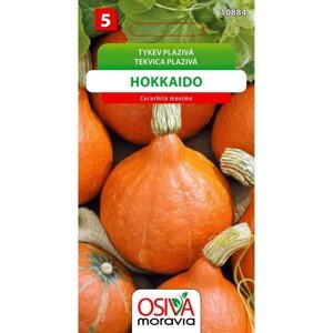 Tykev - Hokkaido (Cucurbita maxima)