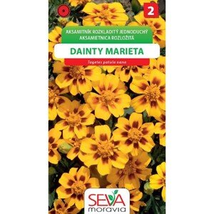 Semínka Aksamitník Rozkladit.jednod. Dainty Marieta (Tagetes patula nana single)