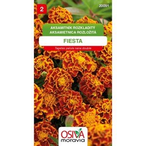 Semínka Aksamitník Rozkladitý Fiesta, červenohnědá (Tagetes patula nana double)