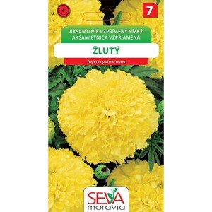 SEVA Moravia Aksamitník vzpřímený nízký - žlutý (Tagetes potula nano)