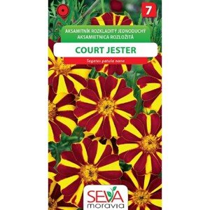 Semínka Aksamitník Rozkladitý - Court Jester (Tagetes patula nana double)
