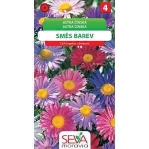 Semínka Astra Čínská - Andrella - směs (Callistephus chinensis)