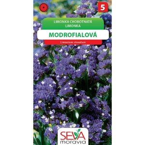 Semínka Limonka Chobotnatá - modrofialová (Limonium sinuatum)