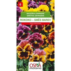 Semínka Maceška zahradní Rokoko - směs barev (Viola wittrockiana)