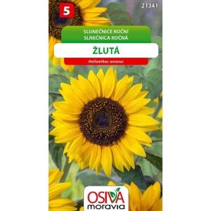 Semínka Slunečnice roční žlutá (Helianthus annuus)