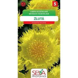 Semínka Chrpa velkohlavá žlutá (Centaurea moschata)