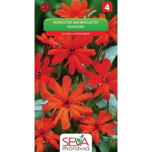 Semienka Kohoutek Arkwrightův