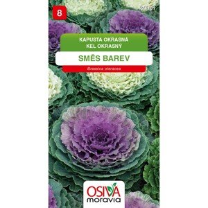 Semínka Kapusta okrasná směs barev (Brassica oleracea)