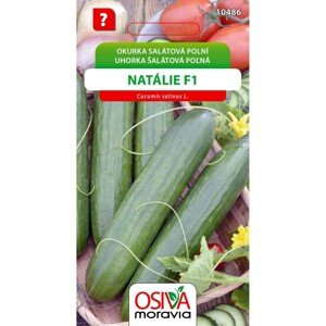 Semínka Okurka salátová polní Natálie F1 (Cucumis sativus L.)