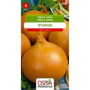 Semínka Cibule jarní Sturon (Allium cepa L.)