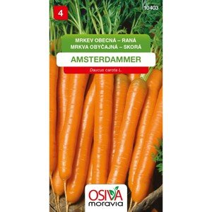 Semínka Mrkev obecná raná Amsterdammer (Daucus carota L.)