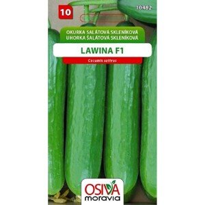 Semínka Okurka salátová skleníková Lawina F1 (Cucumis sativus L.)