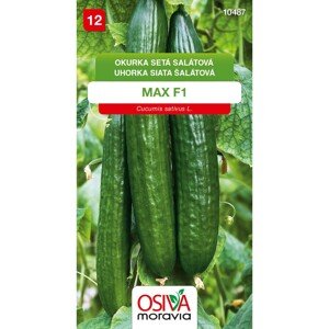 Semínka Okurka setá salátová Max F1 (Cucumis sativus L.)