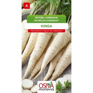 Semínka Petržel kořenová Kinga (Petroselinum crispum var. tuberosum)