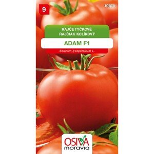 Semínka Rajče tyčkové Adam F1 (Solanum lycopersicum L.)