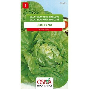 Semínka Salát hlávkový máslový Justyna (Lactuca sativa L.)