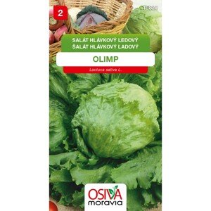 Semínka Salát hlávkový ledový Olimp (Lactuca sativa L.)