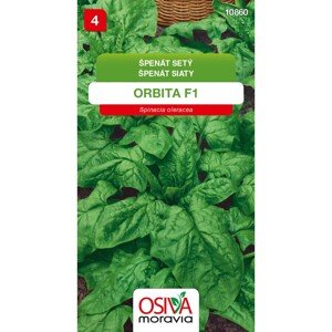 Semínka Špenát setý Orbita F1 (Spinacia oleracea)