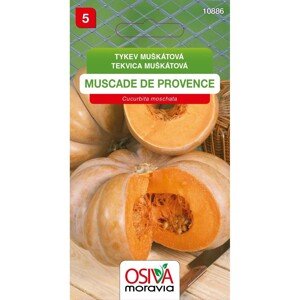 Semínka Tykev muškátová Muscade de Provence (Cucurbita moschata)
