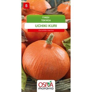 Semínka Tykev Uchiki Kuri (Cucurbita maxima)