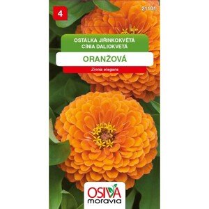 OSIVA Moravia Ostálka jiřinokvětá - oranžová (Zinnia elegans)