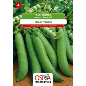 Semínka Hrách zahradní Telephone (Pisum sativum L. convar. medullare)
