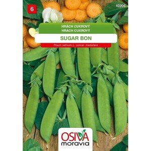 Semínka Hrách cukrový Sugar Bon (Pisum sativum L. convar. medullare)