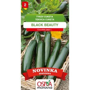 Aros Tykev cuketa (Cucurbita Pepo) Black Beauty, semínka 10 ks