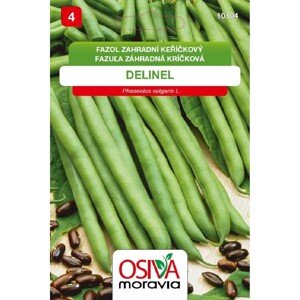 Semínka Fazol keříčkový Delinel (Phaseolus vulgaris L.)