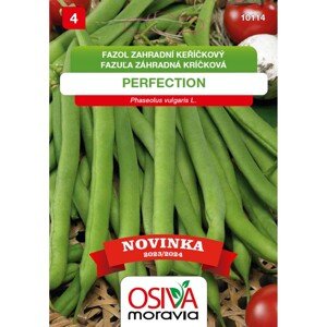 Semínka Fazol keříčkový Perfection (Phaseolus vulgaris var. nanus)