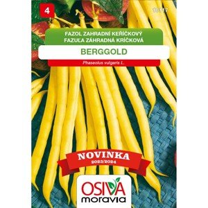 Semínka Fazol keříčkový Berggold (Phaseolus vulgaris var. nanus)