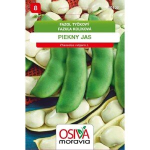 Semínka Fazol tyčkový Piekny jas (Phaseolus coccineus)