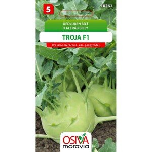 Semínka Kedluben Troja F1 (Brassica oleracea L. var. gongylodes)
