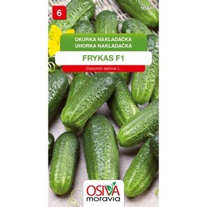 Semínka Okurka nakladačka Frykas F1 (Cucumis sativus L.)